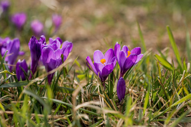 Similar image 21421240