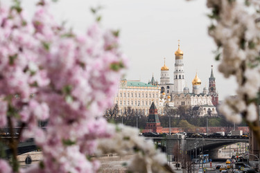 Similar image 21422640