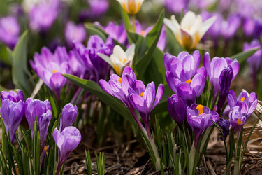 Similar image 21421241