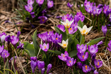 Similar image 21421242