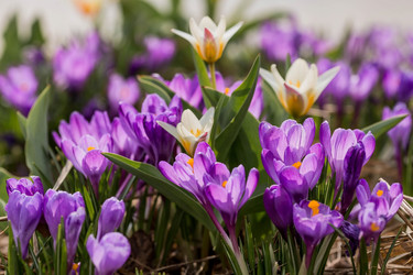 Similar image 21421244