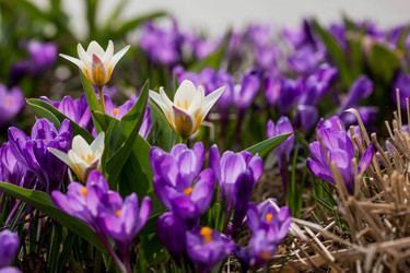 Similar image 21421246