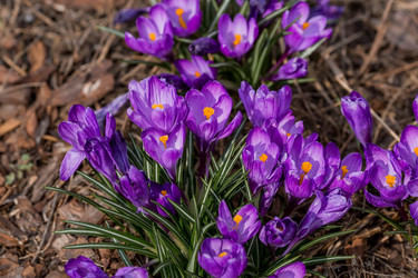 Similar image 21421252