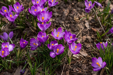 Similar image 21421256