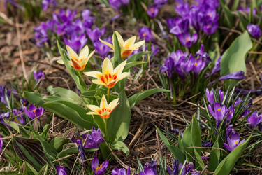 Similar image 21421257