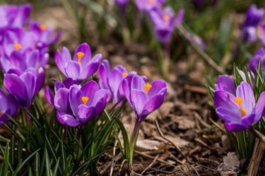 Similar image 21421259