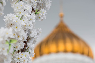 Similar image 21422646