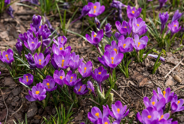 Similar image 21421260