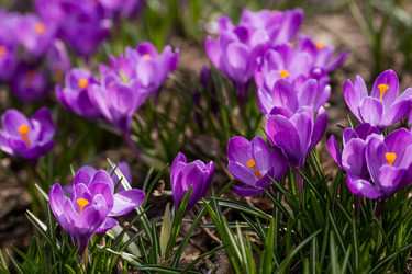 Similar image 21421261