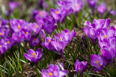 Similar image 21421264