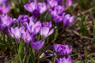 Similar image 21421087