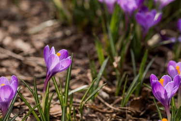 Similar image 21421089