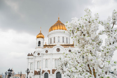 Similar image 21421674