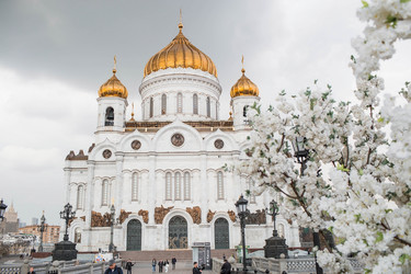 Similar image 21421675