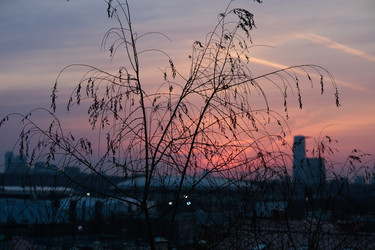 Similar image 21421762