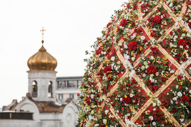 Similar image 21421699