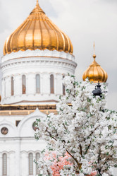 Similar image 21421702