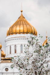 Similar image 21421703