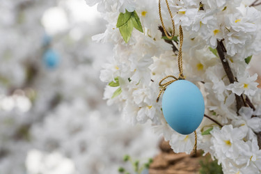 Similar image 21421099