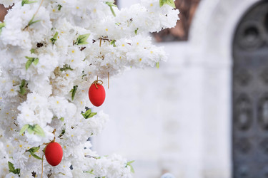 Similar image 21422648