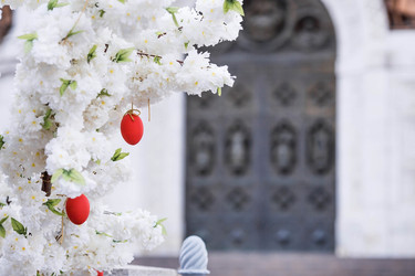 Similar image 21422649