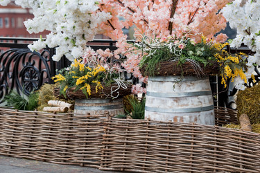 Similar image 21422703