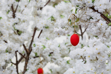 Similar image 21422711