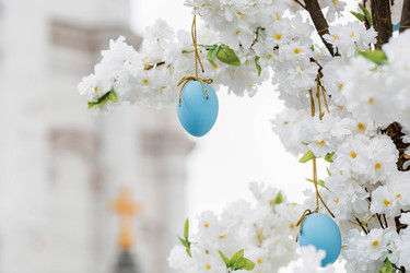 Similar image 21422748