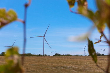 Similar image 21424770