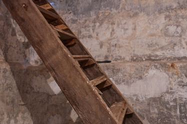 Similar image 21424775