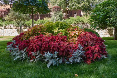 Similar image 21424776