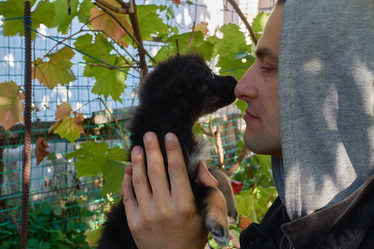 Similar image 21421883