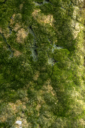 Similar image 21422077