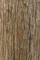 Similar image 21422079