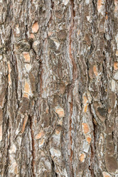 Similar image 21422080