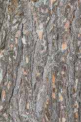 Similar image 21422081