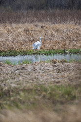 Similar image 21421887