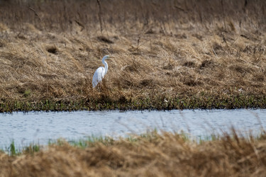 Similar image 21421888