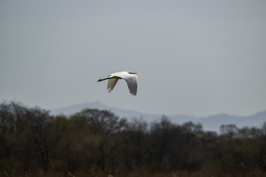 Similar image 21421890