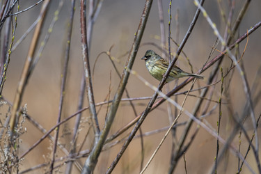 Similar image 21421894