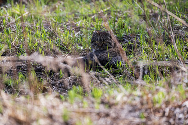 Similar image 21421895