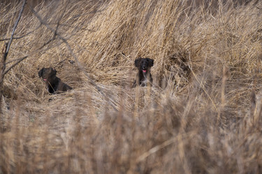 Similar image 21421896