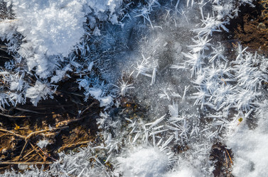 Similar image 21421785