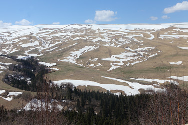 Similar image 21421710