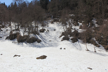 Similar image 21421713