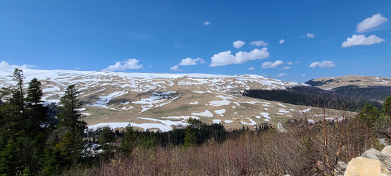 Similar image 21421716