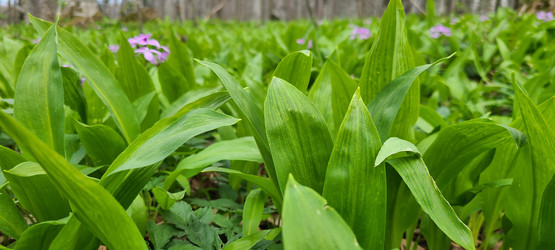 Similar image 21421717