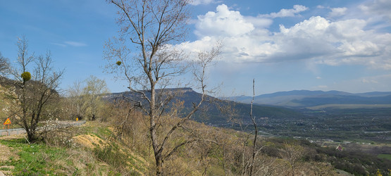 Similar image 21421720