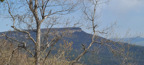 Similar image 21421721