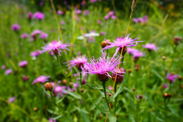 Similar image 21422941